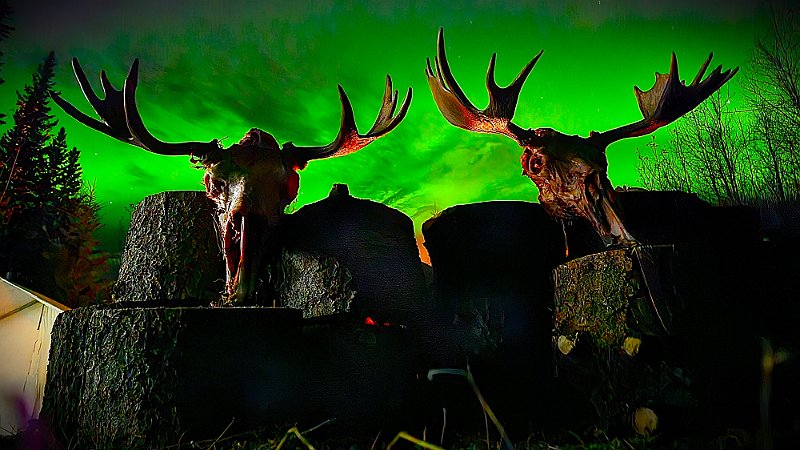 AR24-Antlers in the Auroras (1)